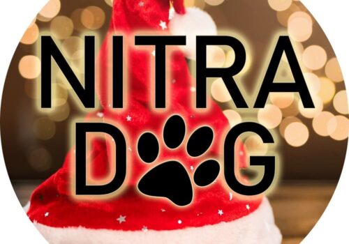 Medzinárodná výstava psov Nitradog